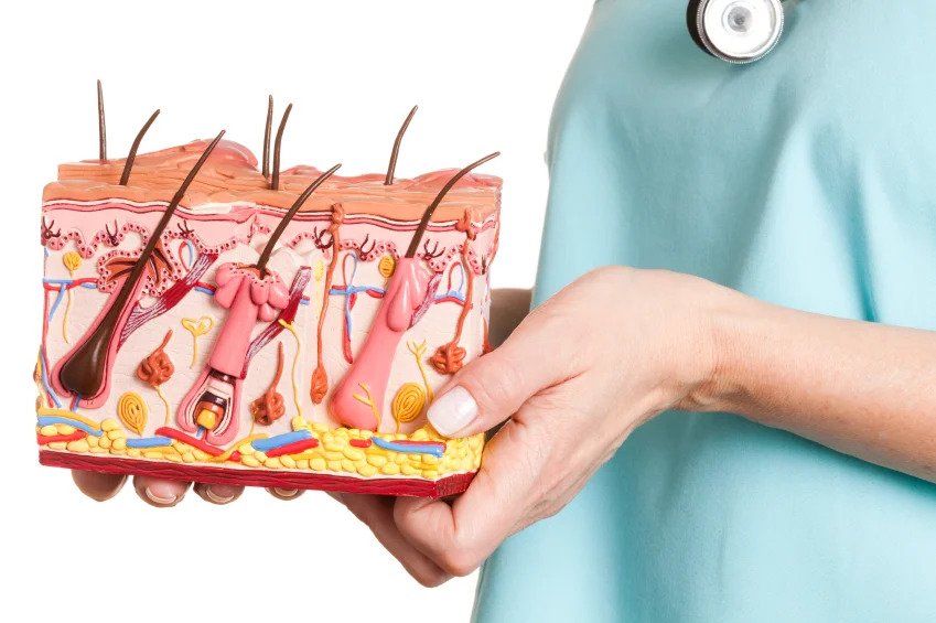 Dermatology